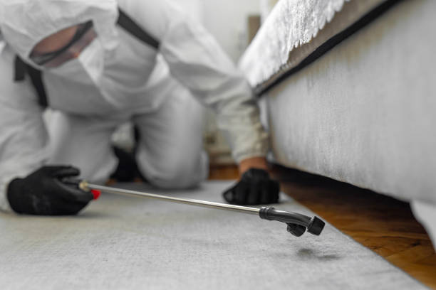 Professional Bed Bug Control technician working in Richmond city County, VA